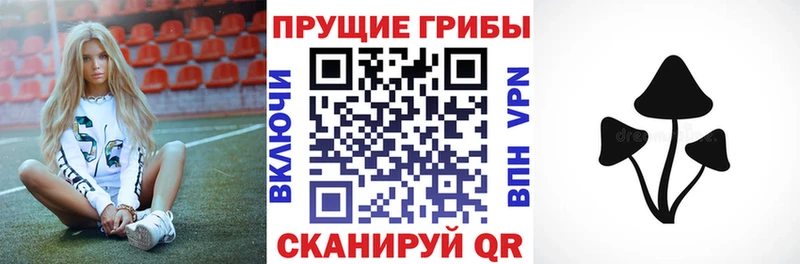 Галлюциногенные грибы Magic Shrooms  блэк спрут рабочий сайт  Княгинино  закладки 